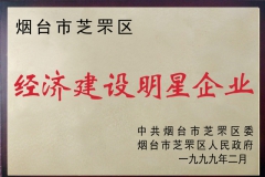 經(jīng)濟建設明星企業(yè)